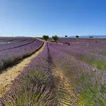Mazet Du Soleil