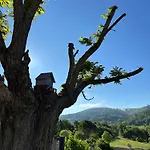 Mazet Du Soleil Σπίτι διακοπών