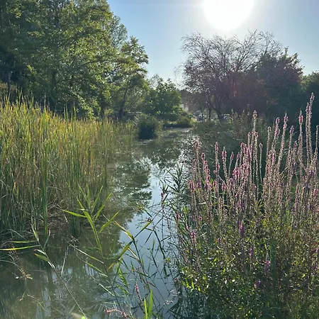 Mazet Du Soleil بيت للعطل *