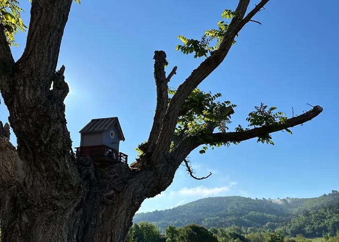 Mazet Du Soleil 度假居