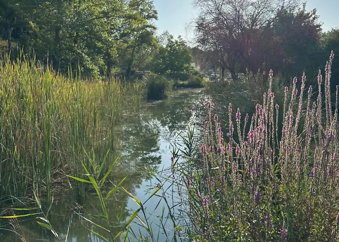 Mazet Du Soleil Hébergement de vacances *